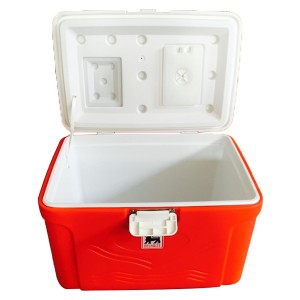 cooler box (2)