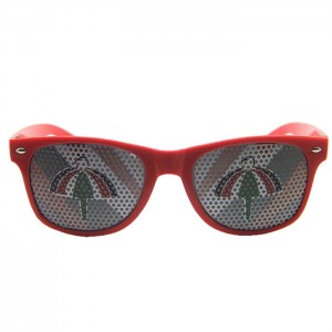 LO-0031 Custom Lens Printed Sunglasses