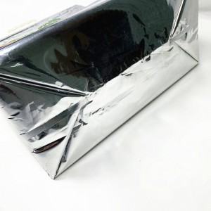 BT-0009 promotional patented thermal bags