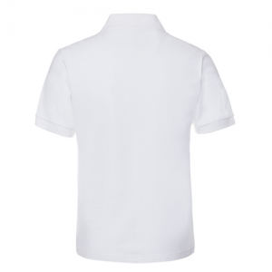 AC-0145 Promotional Polo Shirts With Logo Printed